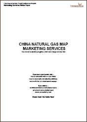 China Natural Gas Map's Marketing Services White Paper 2013